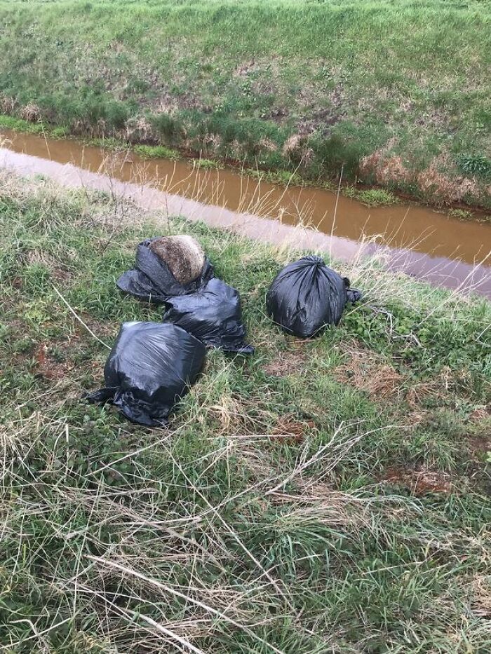 RSPCA Reveals Its Funniest Emergency Calls Of 2021 RSPCA Reveals Its Funniest Emergency Calls Of 2021