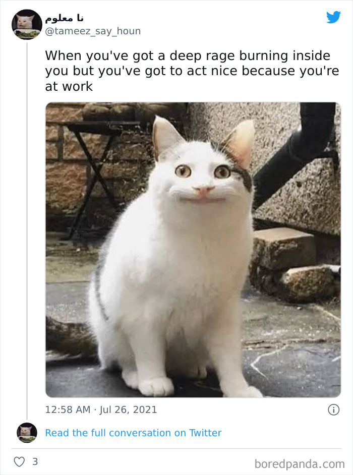 40 Work Memes To Laugh At The Pain Of Having To Work All Our Lives 40 Work Memes To Laugh At The Pain Of Having To Work All Our Lives