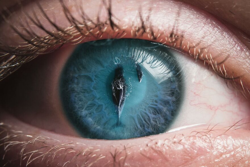 I Created 10 Fantasy Eye Art Pieces Using Photoshop I Created 10 Fantasy Eye Art Pieces Using Photoshop