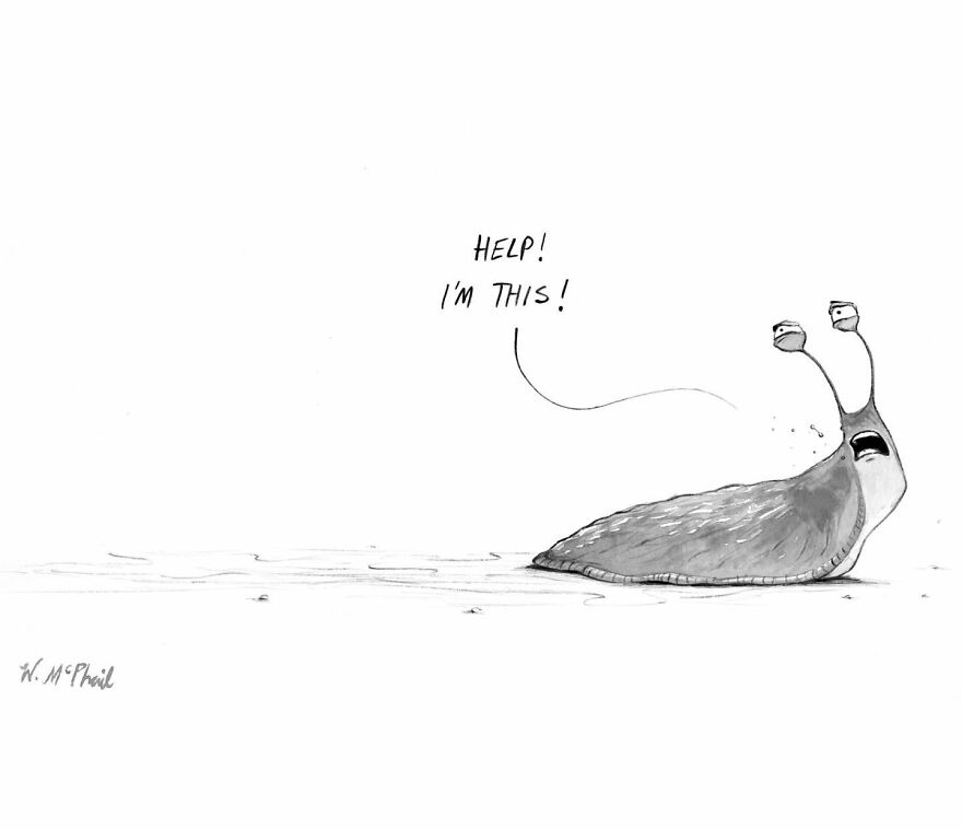 “The New Yorker” Cartoonist Makes Unexpected And Clever Comics (30 New Pics) “The New Yorker” Cartoonist Makes Unexpected And Clever Comics (30 New Pics)