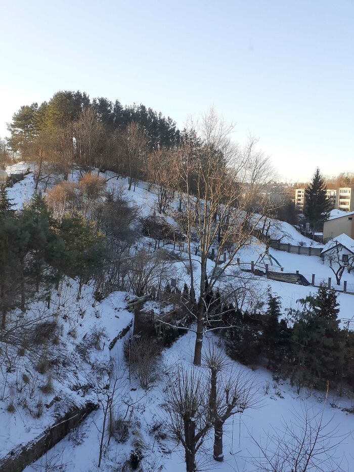 Hey Pandas, Post A Picture Of Your 2022 Snow Day (Closed)