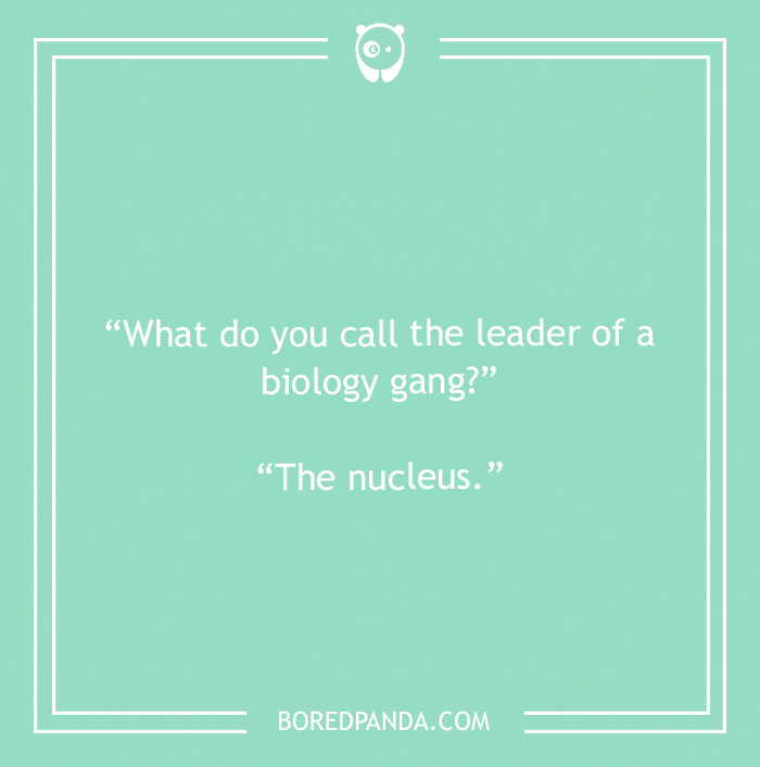 127 Biology Jokes To Lighten Up The Classroom 127 Biology Jokes To Lighten Up The Classroom