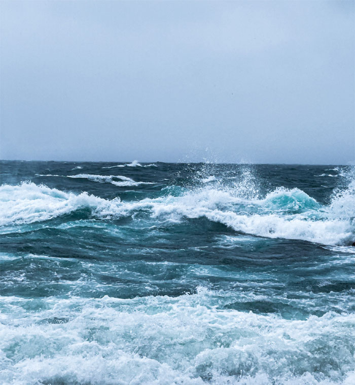 30 Of The Most Creepy Or Weird Things People Witnessed In Oceans, As Shared In This Online Group 30 Of The Most Creepy Or Weird Things People Witnessed In Oceans, As Shared In This Online Group