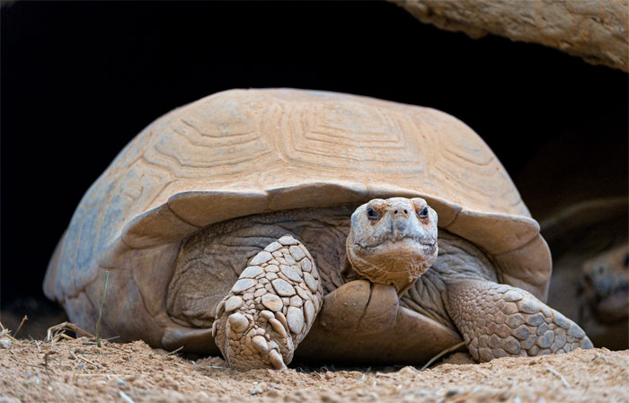 30 Of The Most Creepy Or Weird Things People Witnessed In Oceans, As Shared In This Online Group 30 Of The Most Creepy Or Weird Things People Witnessed In Oceans, As Shared In This Online Group