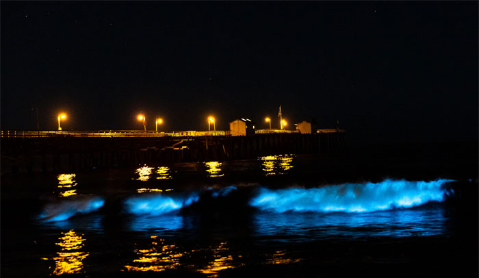 30 Of The Most Creepy Or Weird Things People Witnessed In Oceans, As Shared In This Online Group 30 Of The Most Creepy Or Weird Things People Witnessed In Oceans, As Shared In This Online Group