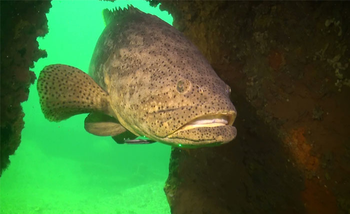 30 Of The Most Creepy Or Weird Things People Witnessed In Oceans, As Shared In This Online Group 30 Of The Most Creepy Or Weird Things People Witnessed In Oceans, As Shared In This Online Group