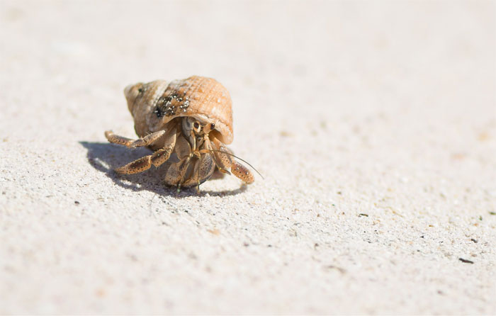 30 Of The Most Creepy Or Weird Things People Witnessed In Oceans, As Shared In This Online Group 30 Of The Most Creepy Or Weird Things People Witnessed In Oceans, As Shared In This Online Group