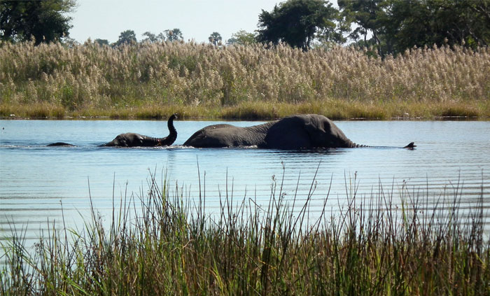 30 Of The Most Creepy Or Weird Things People Witnessed In Oceans, As Shared In This Online Group 30 Of The Most Creepy Or Weird Things People Witnessed In Oceans, As Shared In This Online Group