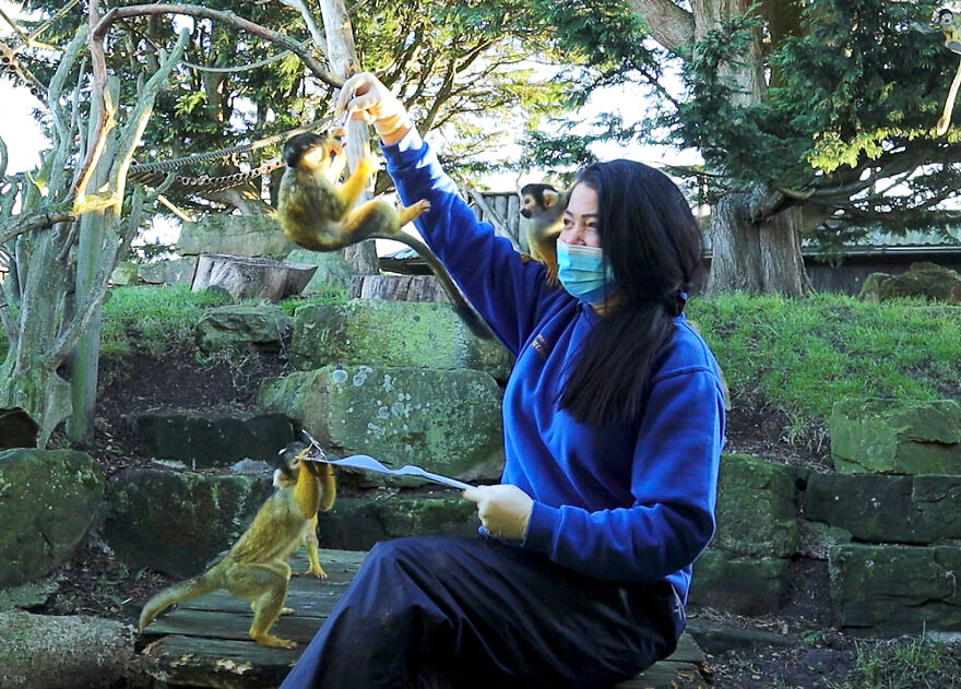 Drusillas Zoo Counts Every Paw, Claw, Feather, And Fang For Annual Stock Take Drusillas Zoo Counts Every Paw, Claw, Feather, And Fang For Annual Stock Take