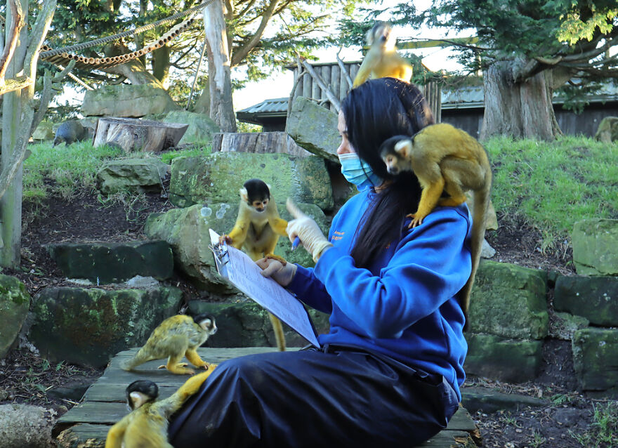 Drusillas Zoo Counts Every Paw, Claw, Feather, And Fang For Annual Stock Take Drusillas Zoo Counts Every Paw, Claw, Feather, And Fang For Annual Stock Take