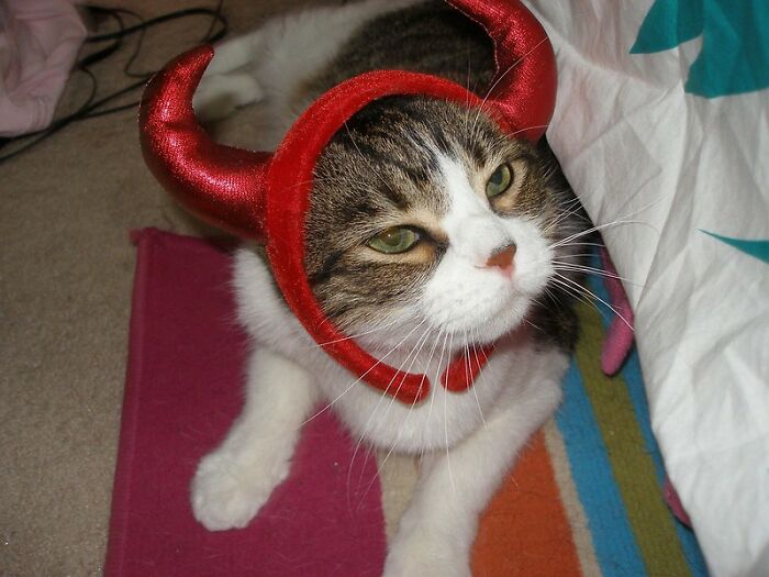 40 Things That Immediately Ruin A Movie As Pointed Out By Folks In This Online Group 40 Things That Immediately Ruin A Movie As Pointed Out By Folks In This Online Group