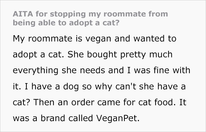 Woman Wanted To Get A Cat And Feed It Vegan Dry Food, Roommate Passes That On To The Shelter Worker And They Decline Her Application Woman Wanted To Get A Cat And Feed It Vegan Dry Food, Roommate Passes That On To The Shelter Worker And They Decline Her Application