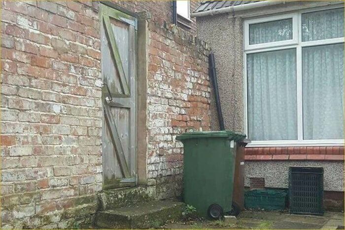 30 Cats Who Are The True Masters Of ‘Hide And Seek’ As Shared On This Twitter Page 30 Cats Who Are The True Masters Of ‘Hide And Seek’ As Shared On This Twitter Page