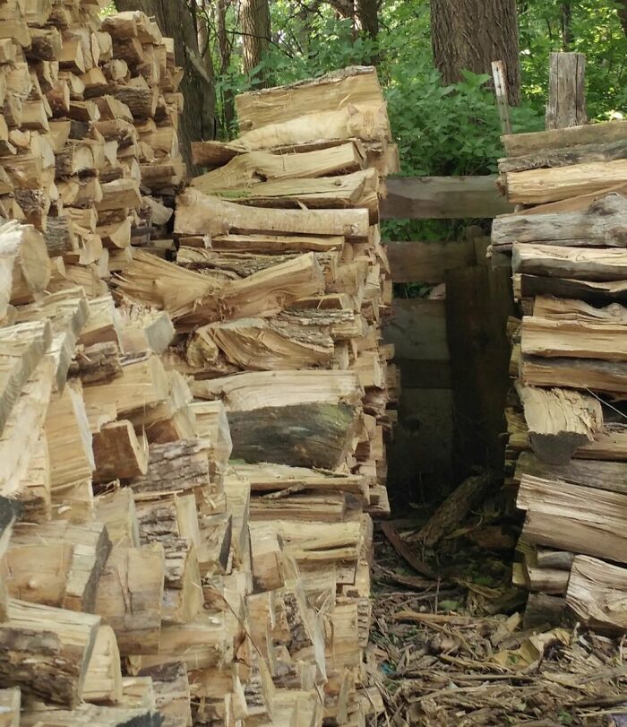 30 Cats Who Are The True Masters Of ‘Hide And Seek’ As Shared On This Twitter Page 30 Cats Who Are The True Masters Of ‘Hide And Seek’ As Shared On This Twitter Page