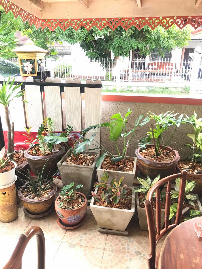 30 Cats Who Are The True Masters Of ‘Hide And Seek’ As Shared On This Twitter Page 30 Cats Who Are The True Masters Of ‘Hide And Seek’ As Shared On This Twitter Page