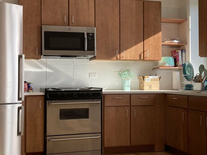 30 Cats Who Are The True Masters Of ‘Hide And Seek’ As Shared On This Twitter Page 30 Cats Who Are The True Masters Of ‘Hide And Seek’ As Shared On This Twitter Page