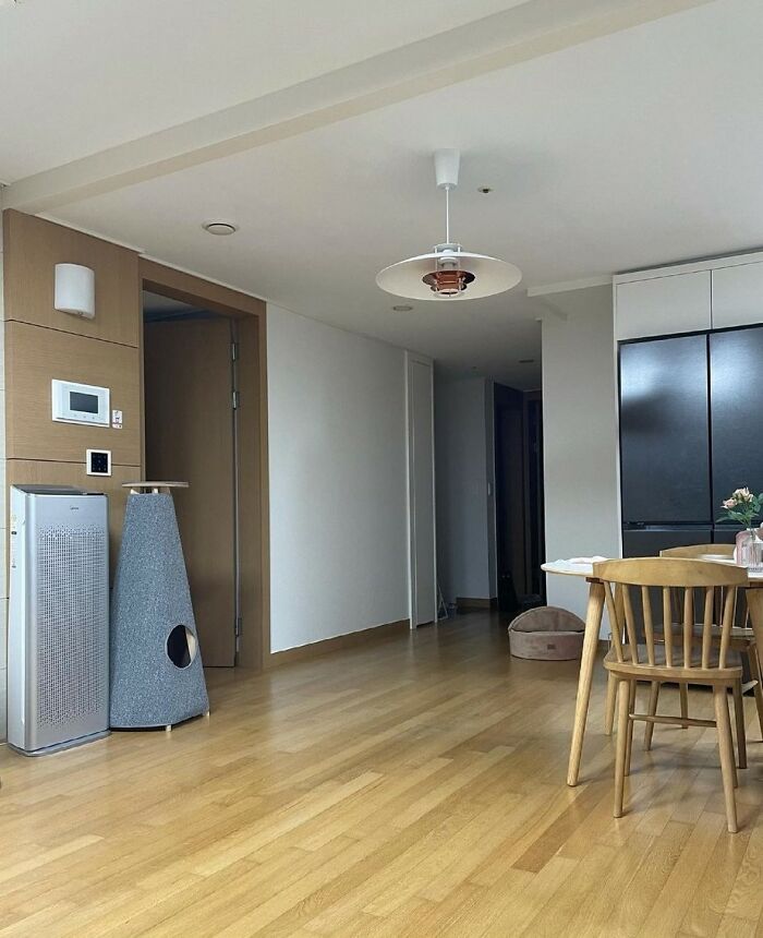 30 Cats Who Are The True Masters Of ‘Hide And Seek’ As Shared On This Twitter Page 30 Cats Who Are The True Masters Of ‘Hide And Seek’ As Shared On This Twitter Page