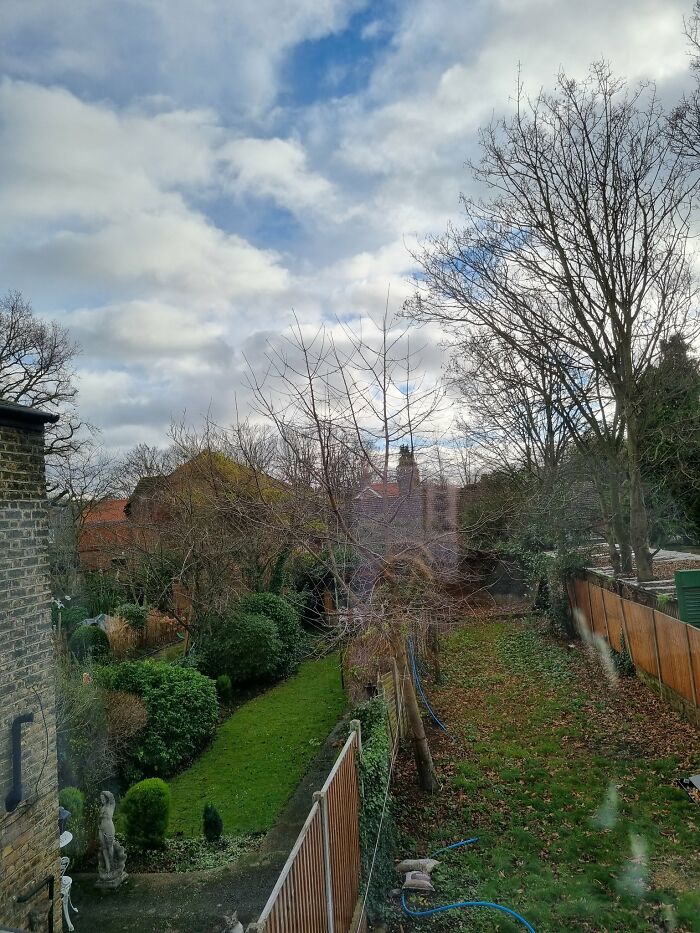 30 Cats Who Are The True Masters Of ‘Hide And Seek’ As Shared On This Twitter Page 30 Cats Who Are The True Masters Of ‘Hide And Seek’ As Shared On This Twitter Page