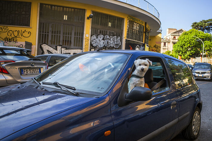 I Decided To Make A Visual Diary Of 2021 (35 New Pics) I Decided To Make A Visual Diary Of 2021 (35 New Pics)