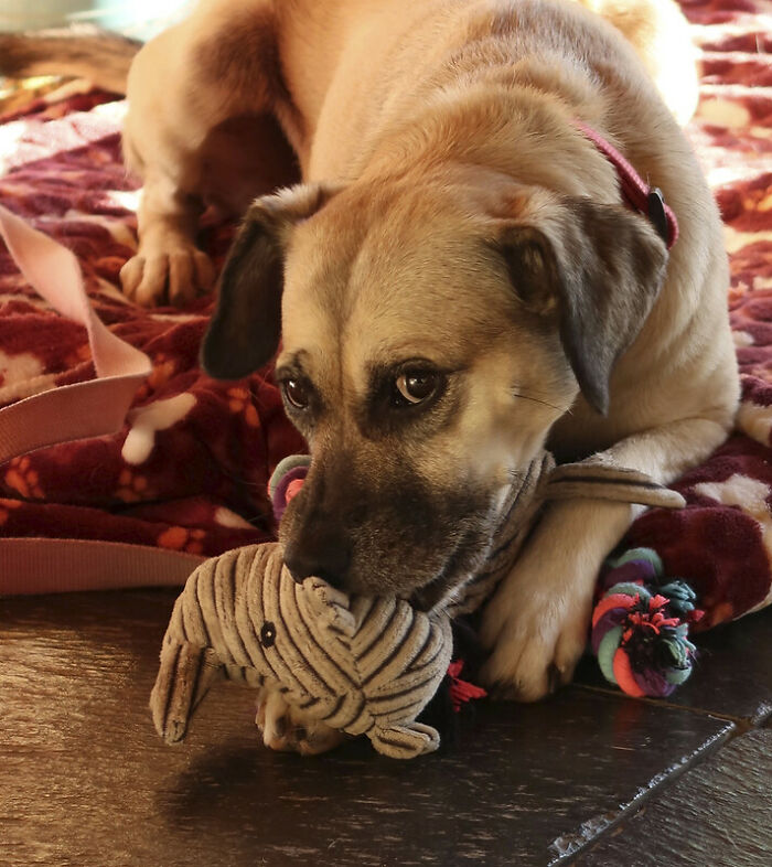 People In This Online Group Know Some Pretty Disturbing Facts About The World And Shared Them For Others To Learn People In This Online Group Know Some Pretty Disturbing Facts About The World And Shared Them For Others To Learn