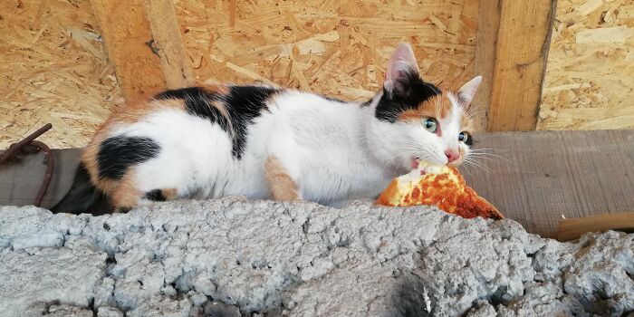 Members Of This Online Group Are Annoyed With People Not Having Common Sense And Ignoring These 40 Unwritten Rules Members Of This Online Group Are Annoyed With People Not Having Common Sense And Ignoring These 40 Unwritten Rules