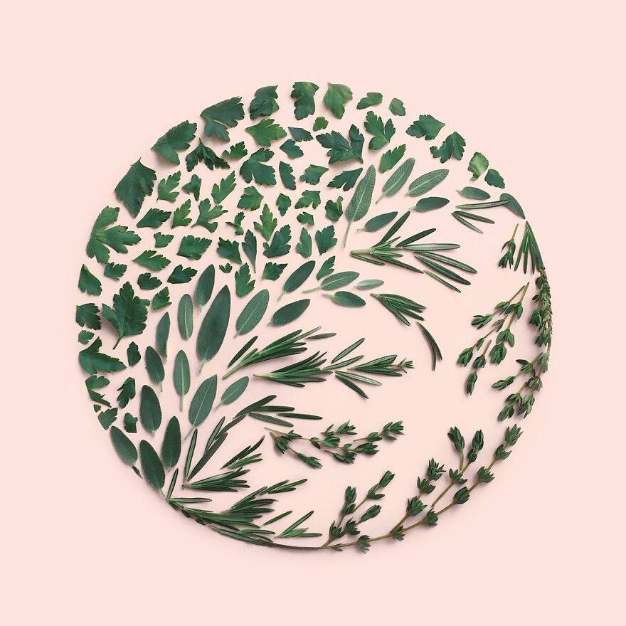 Artist Arranges Everyday Objects To Make Perfect-Looking Art Pieces, And Here Are 80 Of The Best Ones Artist Arranges Everyday Objects To Make Perfect-Looking Art Pieces, And Here Are 80 Of The Best Ones