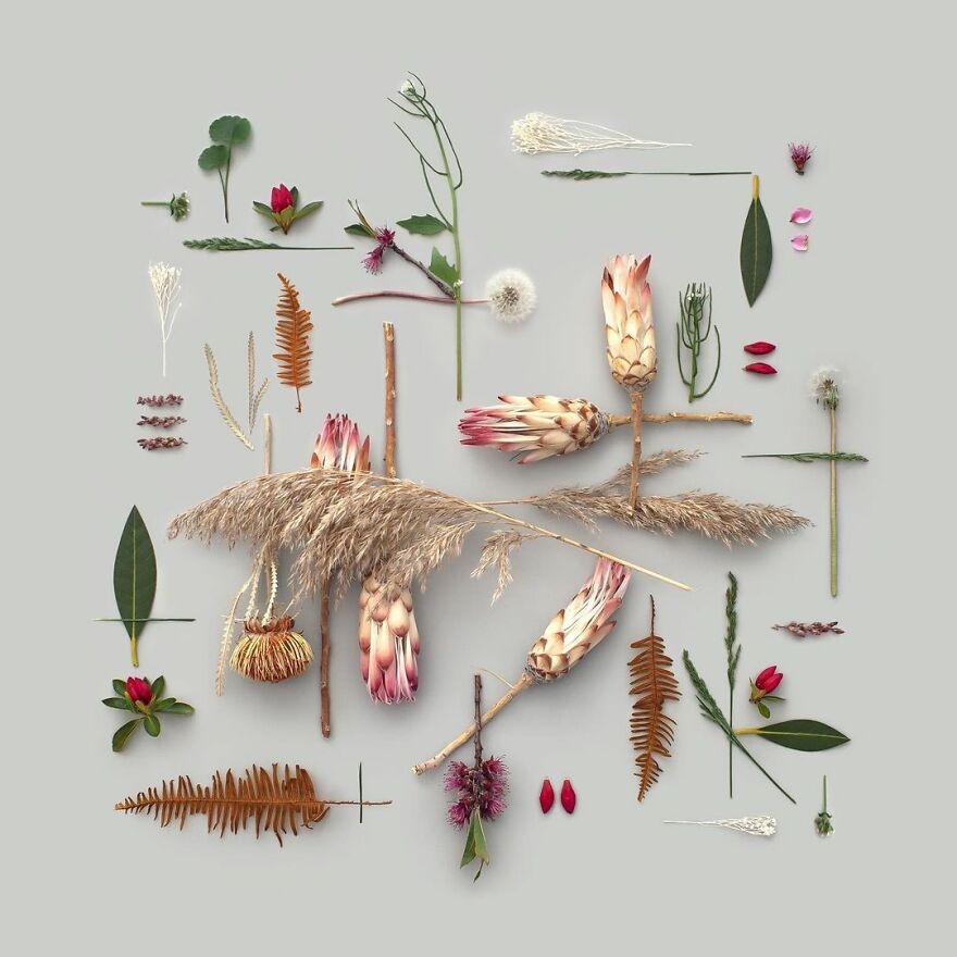 Artist Arranges Everyday Objects To Make Perfect-Looking Art Pieces, And Here Are 80 Of The Best Ones Artist Arranges Everyday Objects To Make Perfect-Looking Art Pieces, And Here Are 80 Of The Best Ones