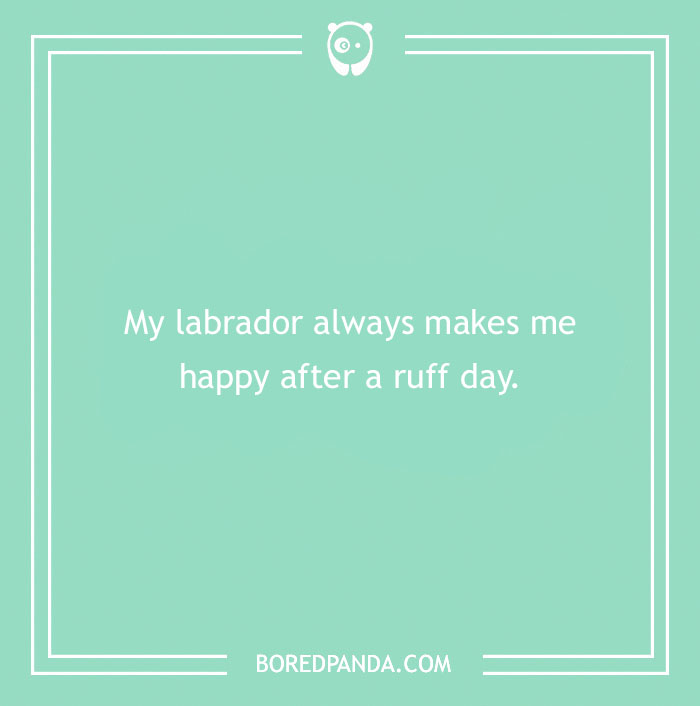 197 Funny Dog Puns to Honor the Pup-arazzi Worthy Furballs 197 Funny Dog Puns to Honor the Pup-arazzi Worthy Furballs