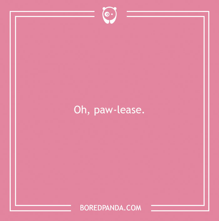 197 Funny Dog Puns to Honor the Pup-arazzi Worthy Furballs 197 Funny Dog Puns to Honor the Pup-arazzi Worthy Furballs