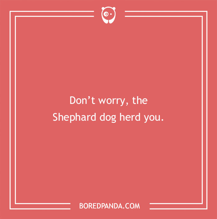 197 Funny Dog Puns to Honor the Pup-arazzi Worthy Furballs 197 Funny Dog Puns to Honor the Pup-arazzi Worthy Furballs