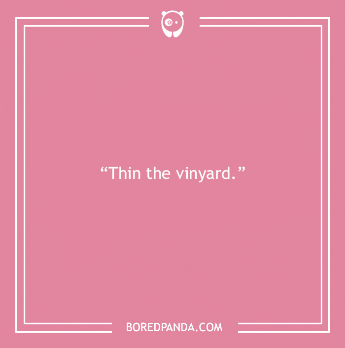 A Toast to 175 of the Best Fine Wine Puns That We Could Find A Toast to 175 of the Best Fine Wine Puns That We Could Find