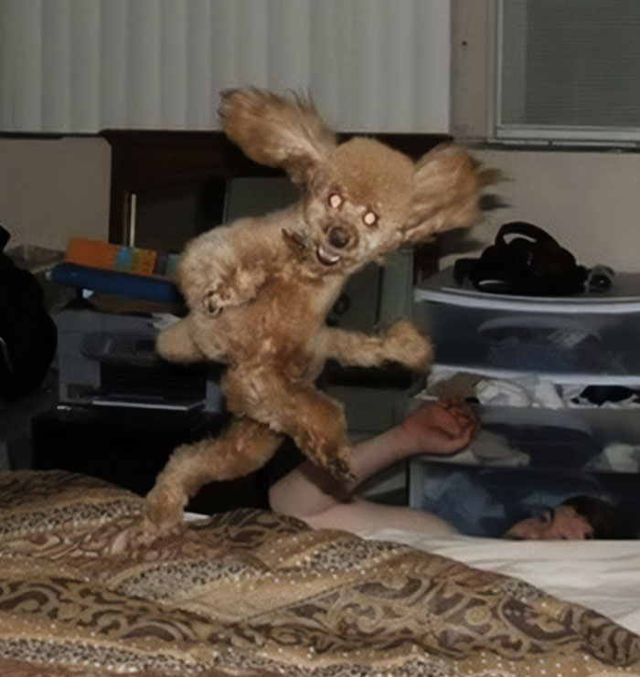 This Twitter Page Collects The Most ‘Cursed’ Images Online, Here Are 50 Of The Best This Twitter Page Collects The Most ‘Cursed’ Images Online, Here Are 50 Of The Best