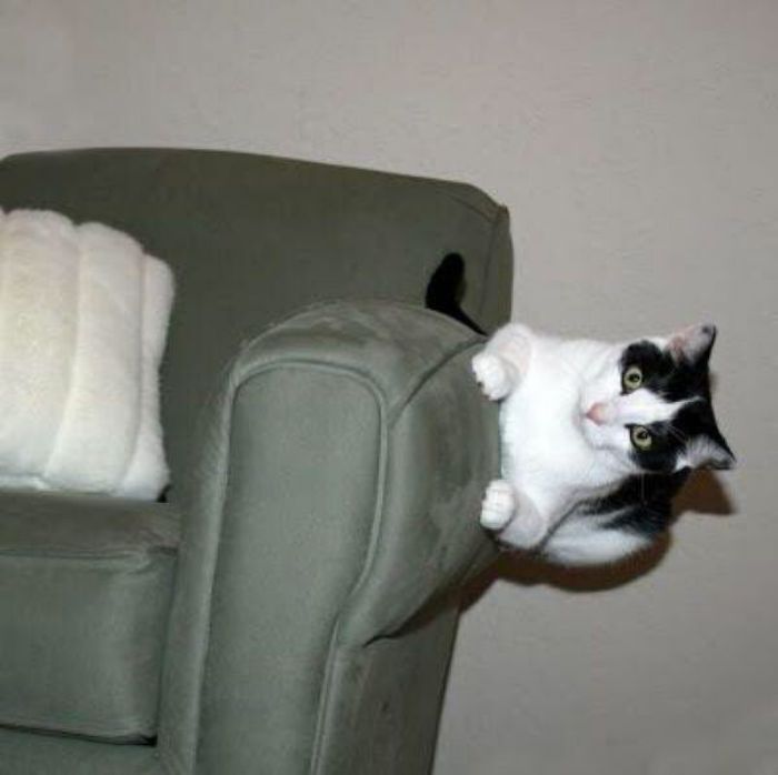 This Twitter Page Collects The Most ‘Cursed’ Images Online, Here Are 50 Of The Best This Twitter Page Collects The Most ‘Cursed’ Images Online, Here Are 50 Of The Best