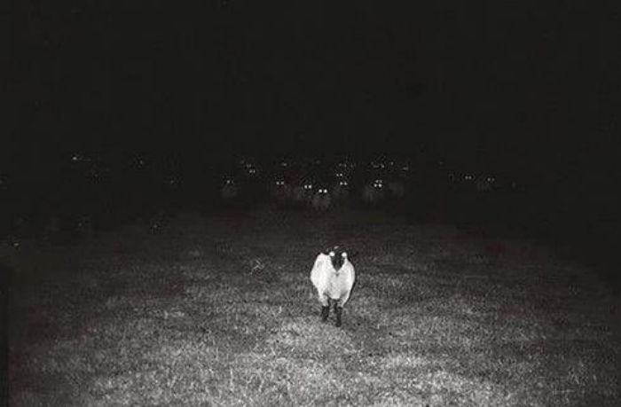 This Twitter Page Collects The Most ‘Cursed’ Images Online, Here Are 50 Of The Best This Twitter Page Collects The Most ‘Cursed’ Images Online, Here Are 50 Of The Best