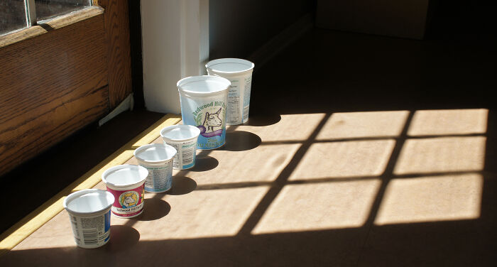 30 People From Low-Income Homes Explain The Things That Rich Kids Would Never Understand 30 People From Low-Income Homes Explain The Things That Rich Kids Would Never Understand