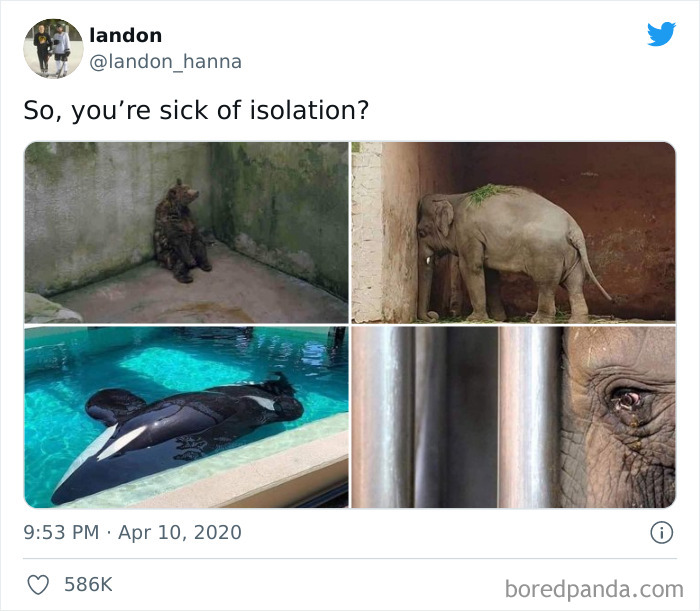 ‘Awful Everything’ Online Community Shames World’s Worst People And Here’s 50 Of Their Most Hated Ones ‘Awful Everything’ Online Community Shames World’s Worst People And Here’s 50 Of Their Most Hated Ones