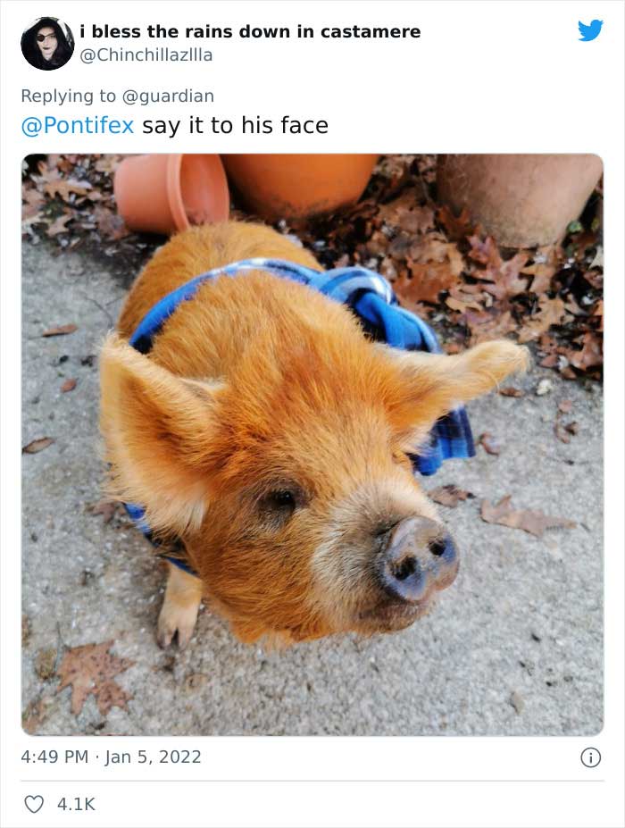 People Are Cracking Up At These 35 Tweets Posted In Response To The Pope Calling People Who Don’t Have Kids Selfish