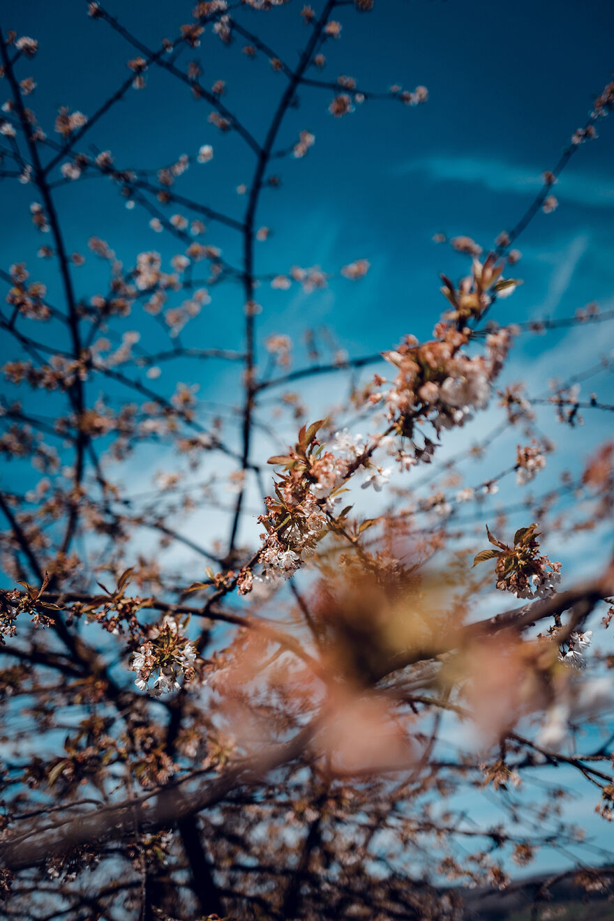 I Started Photographing Natural Phenomena And Made Calendars For 2021 And 2022 (26 Pics) I Started Photographing Natural Phenomena And Made Calendars For 2021 And 2022 (26 Pics)