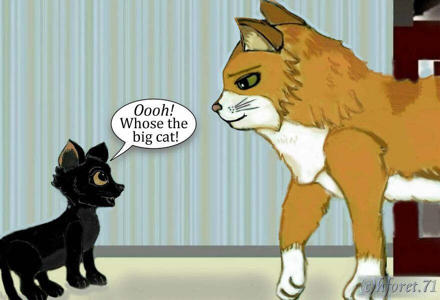 Little Surprises Pt II And III Of My Comics