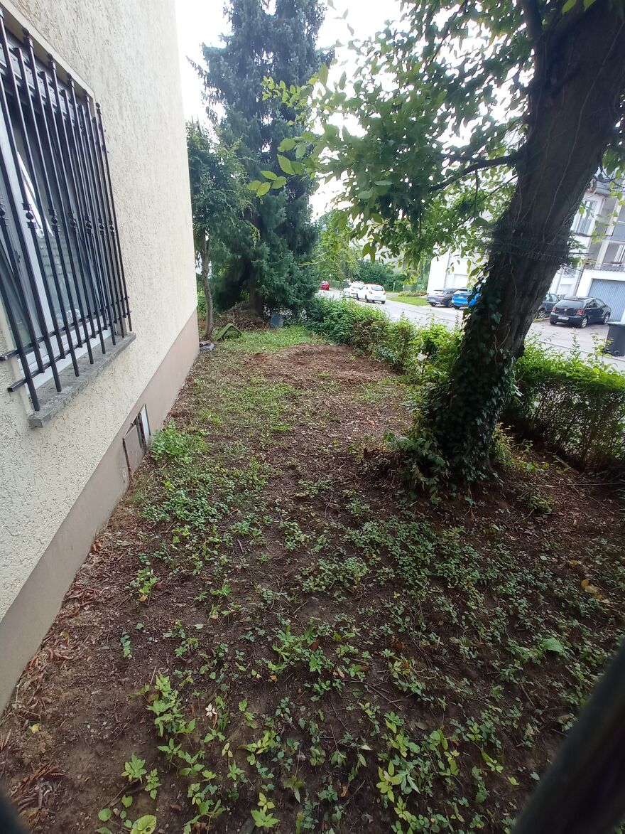 I Built A Small Outdoor Save Space For My Cats I Built A Small Outdoor Save Space For My Cats