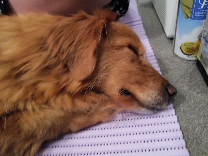 Hey Pandas, Post A Picture You Took On New Year’s Eve (Closed) Hey Pandas, Post A Picture You Took On New Year’s Eve (Closed)