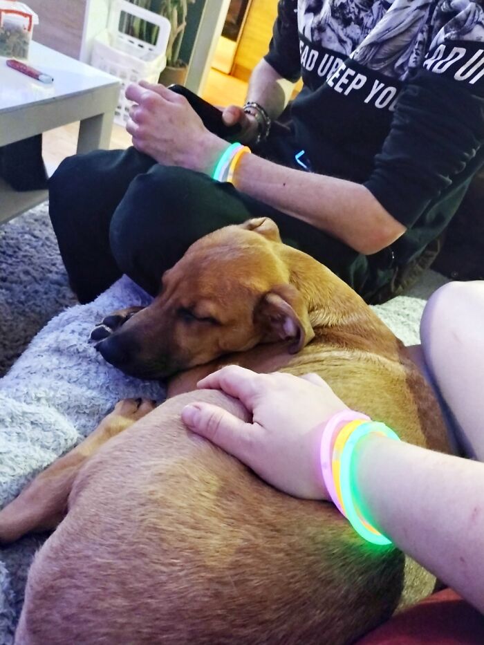 Hey Pandas, Post A Picture You Took On New Year’s Eve (Closed) Hey Pandas, Post A Picture You Took On New Year’s Eve (Closed)