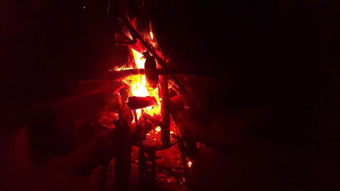 Hey Pandas, Post A Picture You Took On New Year’s Eve (Closed) Hey Pandas, Post A Picture You Took On New Year’s Eve (Closed)