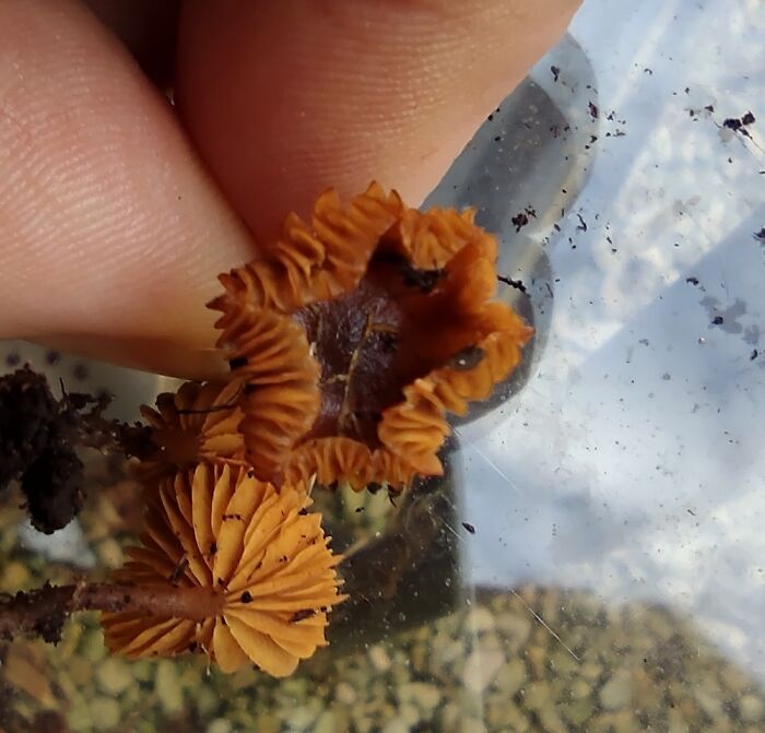 Hey Pandas, Post A Picture You Took On New Year’s Eve (Closed) Hey Pandas, Post A Picture You Took On New Year’s Eve (Closed)