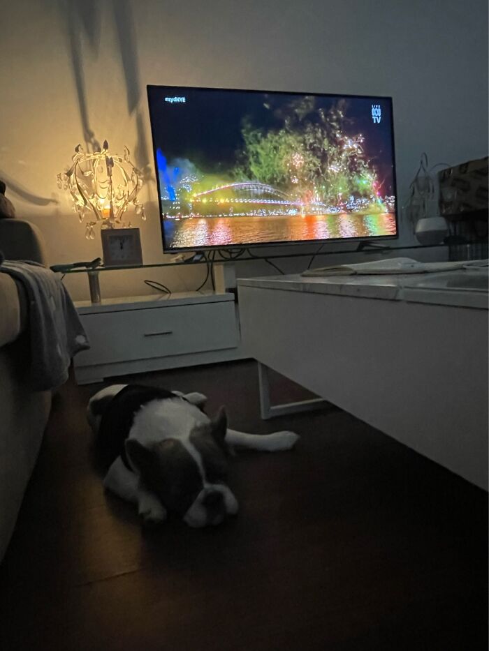 Hey Pandas, Post A Picture You Took On New Year’s Eve (Closed) Hey Pandas, Post A Picture You Took On New Year’s Eve (Closed)