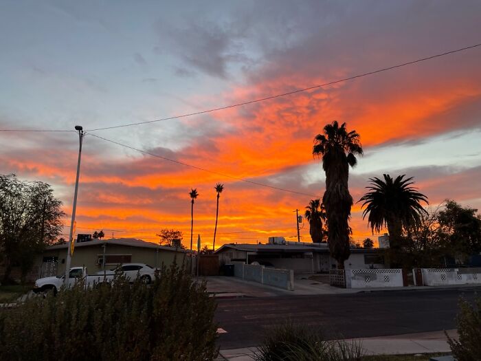 Hey Pandas, Post A Picture You Took On New Year’s Eve (Closed) Hey Pandas, Post A Picture You Took On New Year’s Eve (Closed)