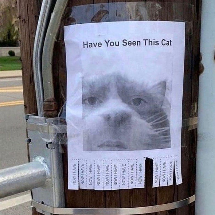 50 Cursed Adverts From ‘Ads With Threatening Auras’ (New Pics) 50 Cursed Adverts From ‘Ads With Threatening Auras’ (New Pics)