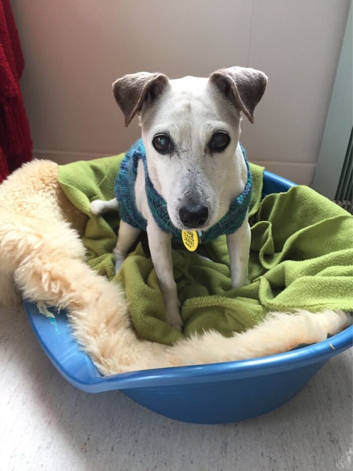 Hey Pandas, Post A Pic Of The Brightest Star In Your Life (Closed) Hey Pandas, Post A Pic Of The Brightest Star In Your Life (Closed)