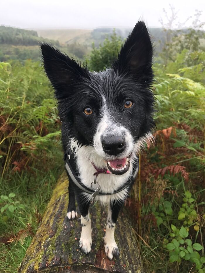 Hey Pandas, Post A Pic Of The Brightest Star In Your Life (Closed) Hey Pandas, Post A Pic Of The Brightest Star In Your Life (Closed)