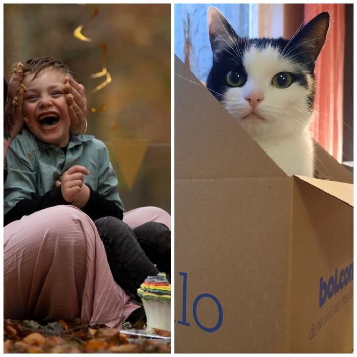 Hey Pandas, Post A Pic Of The Brightest Star In Your Life (Closed) Hey Pandas, Post A Pic Of The Brightest Star In Your Life (Closed)